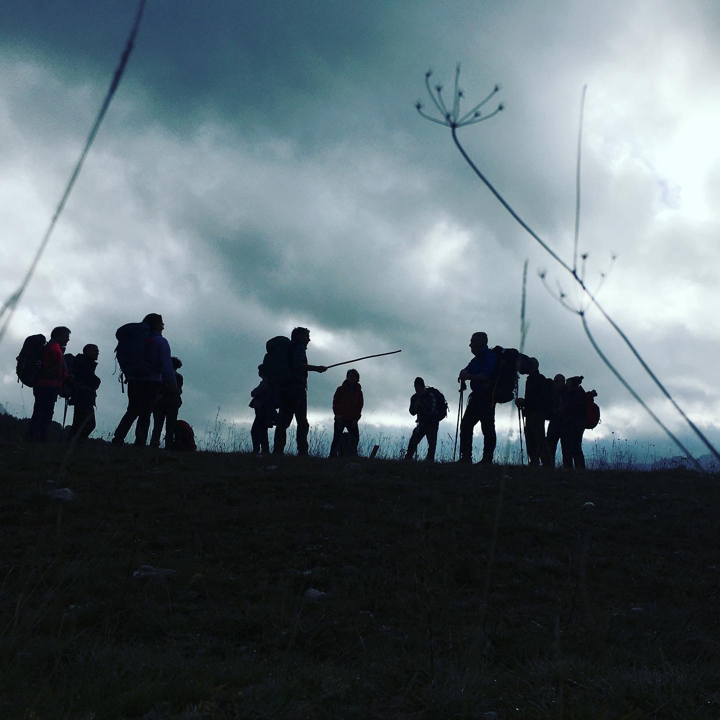 Foto Marco Signorini